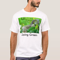 gehendes Grün