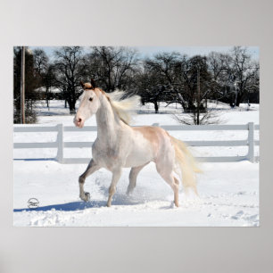 Gehendes Pferd Tennessees im Schnee Poster