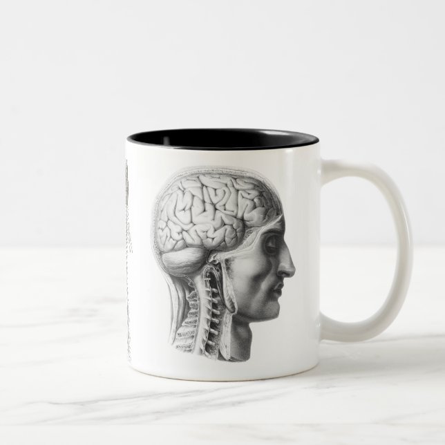 Gehirn aufgedeckt zweifarbige tasse (Rechts)