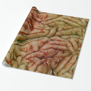 Gehirn, GehirnZZ BRAINZZZ Geschenkpapier