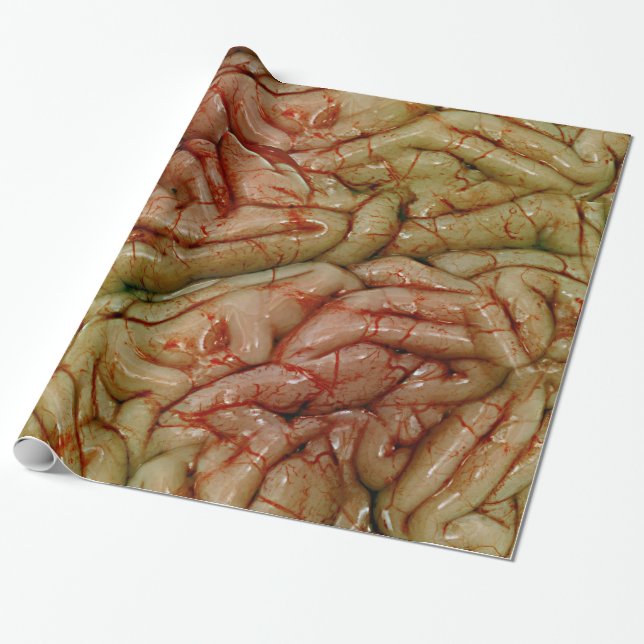 Gehirn, GehirnZZ BRAINZZZ Geschenkpapier (Ungerollt)