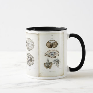 Gehirnanatomie-Druck-Tasse Tasse