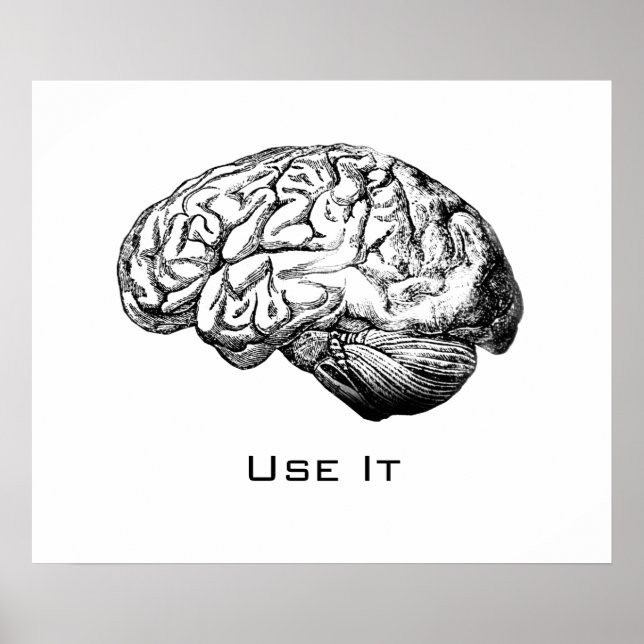 Gehirnanatomie - Nutzen Sie es Poster (Vorne)