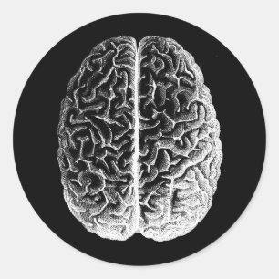Gehirne! Runder Aufkleber