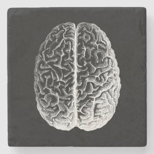 Gehirne! Steinuntersetzer