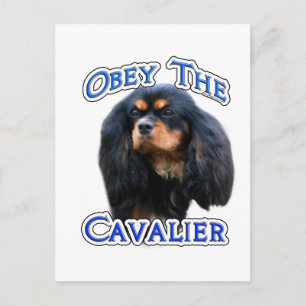 Gehorchen der Cavalier Postkarte