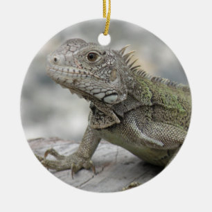 Gehörnte Leguan-Verzierung Keramik Ornament