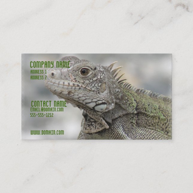 Gehörnte Leguan-Visitenkarte Visitenkarte (Vorderseite)