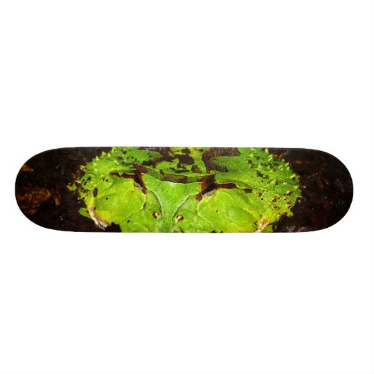 Gehörnter Frosch Ceratophrys Cornuta Surinams Personalisierte Skateboarddecks