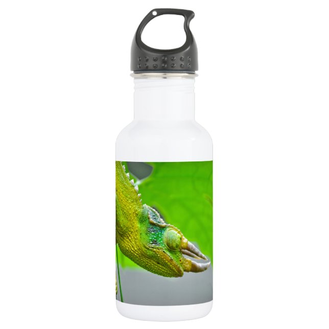 Gehörntes Chamäleon des Riese-3 Trinkflasche (Vorderseite)
