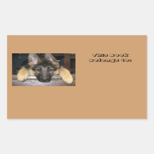 Gehört zur Bezeichnung Aufkleber