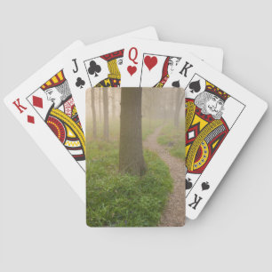 Gehweg, der in Waldspielkarten führt Spielkarten