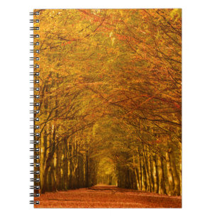 Gehweg durch den Wald im Herbstnotizbuch Notizblock