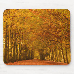 Gehweg durch den Wald in Herbst mousepad