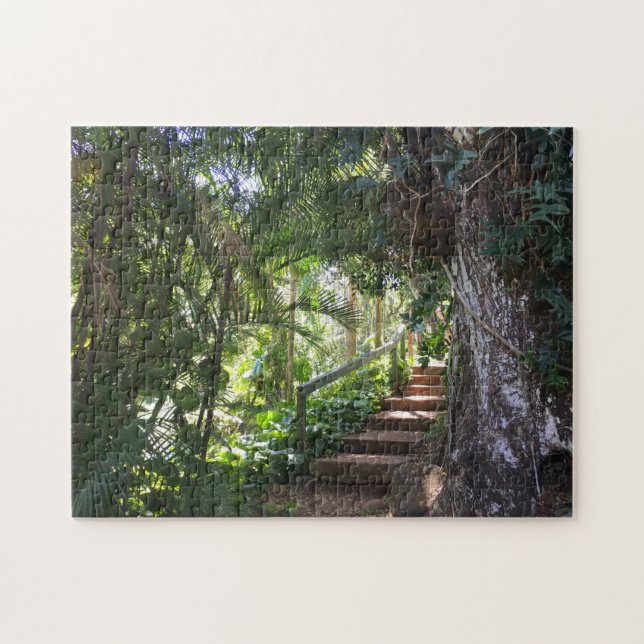 Gehweg durch einen tropischen Wald, Kauai, Hawaii (Horizontal)