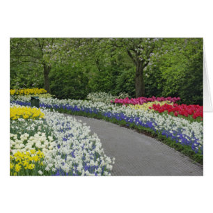 Gehweg durch Tulpen und Narzissen,