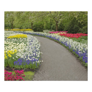 Gehweg durch Tulpen und Narzissen, 2 Fotodruck