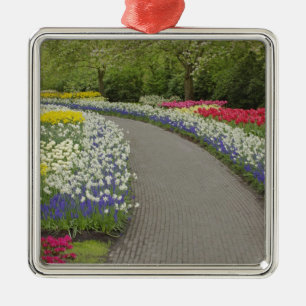 Gehweg durch Tulpen und Narzissen, 2 Silbernes Ornament