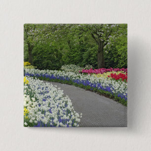 Gehweg durch Tulpen und Narzissen, Button