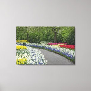 Gehweg durch Tulpen und Narzissen, Leinwanddruck