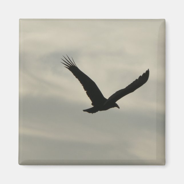 Geier. Magnet (Vorne)