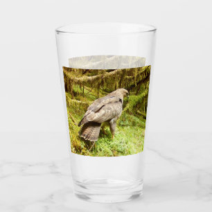 Geier sucht nach Maden Vogel Wildtiere Natur Des Glas