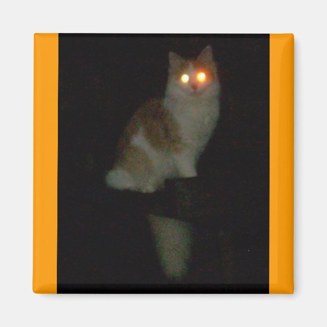 geile Kätzin Magnet (Vorne)