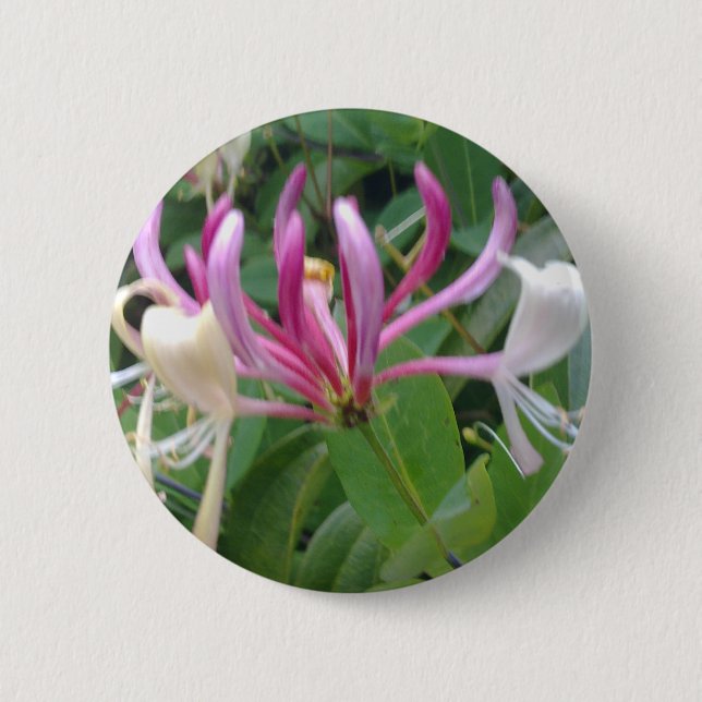 Geißblatt-Blumen-Knopf Button (Vorderseite)