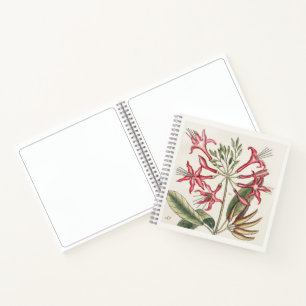 Geißblatt Botanisches Skizzenbuch Kunst 18. Jahrhu Notizbuch
