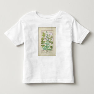 Geißblatt, Salbei und Rose Kleinkind T-shirt