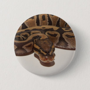 Geist-Ball-Pythonschlange-Knopf Button