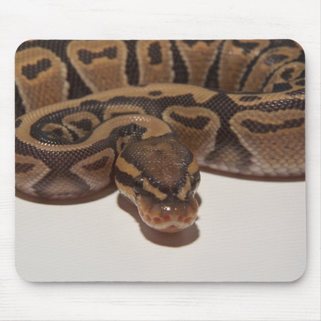 Geist-Ball-Pythonschlange Mousepad (Vorne)