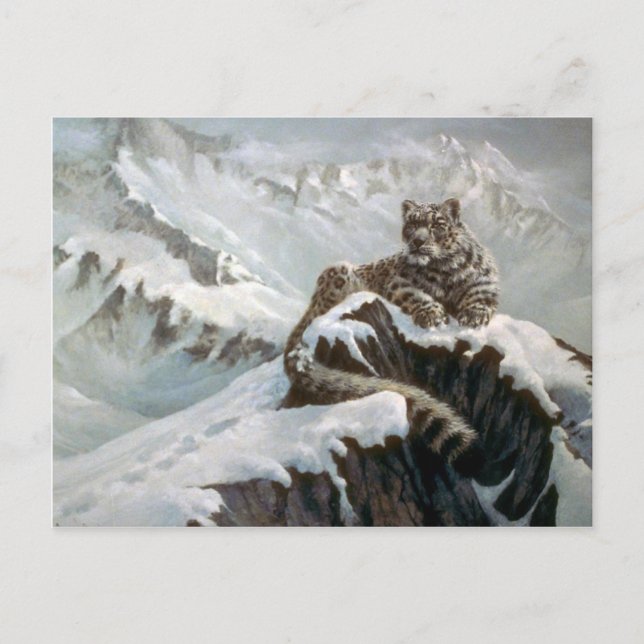 Geist der Berge, Schneeleopard Postkarte (Vorderseite)