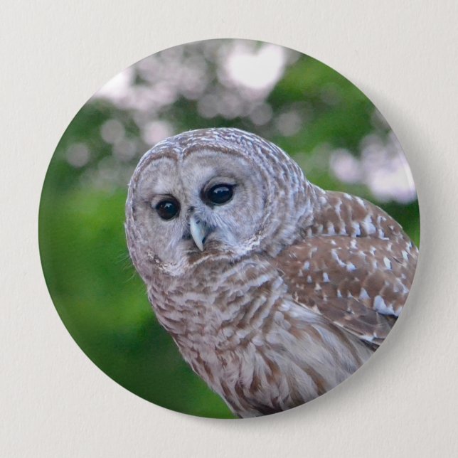 Geist der Eule Button (Vorderseite)