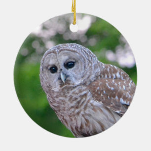 Geist der Eule Keramikornament