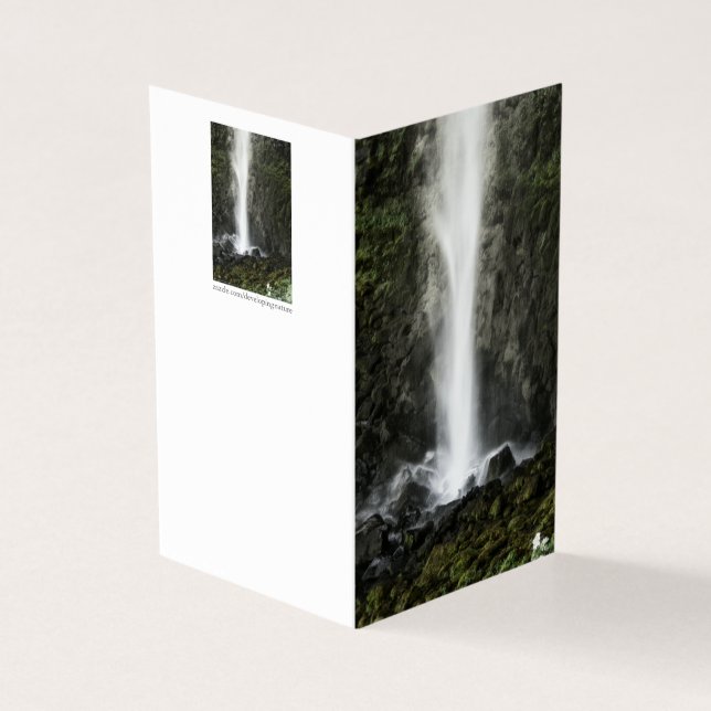 Geist des Beckens (Vorderseite)