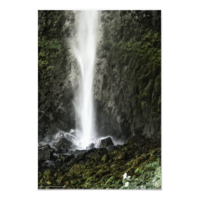 Geist des Beckens Fotodruck (Vorne)