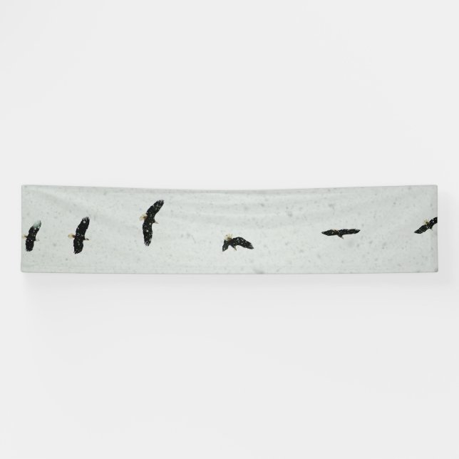 Geist des Fluges Banner (Horizontal)