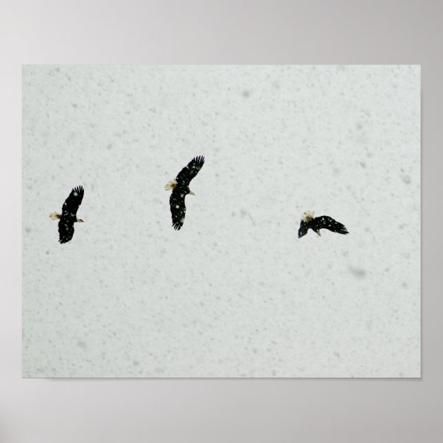Geist des Fluges Poster (Vorne)