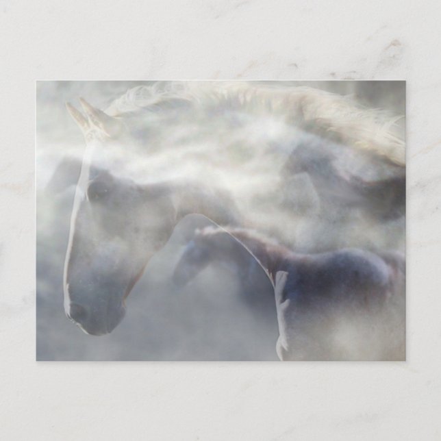 Geist des Pferdes Postkarte (Vorderseite)
