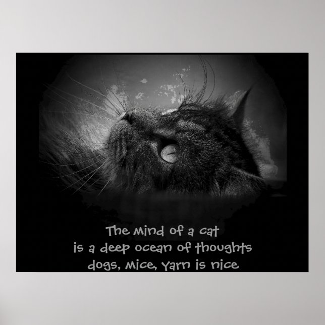 Geist einer Katze Haiku Poster (Vorne)