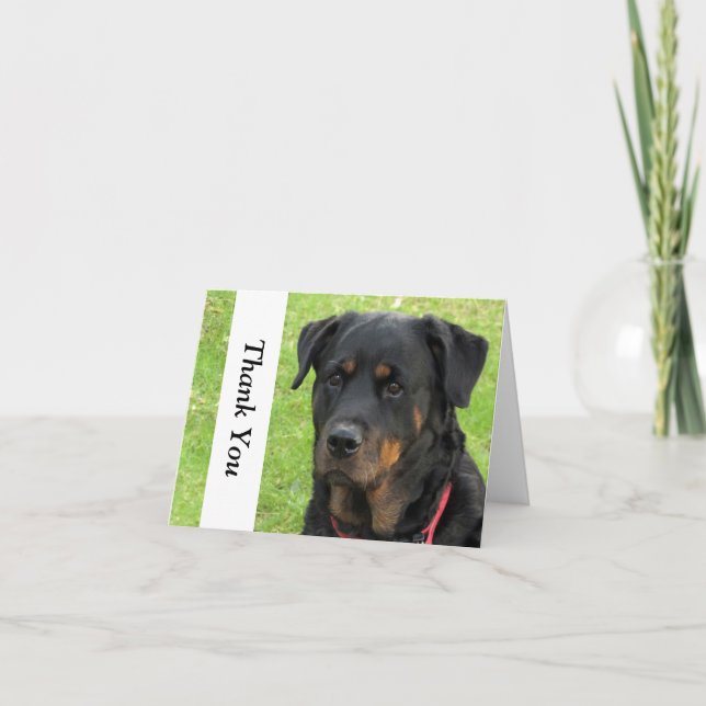 Geist Rottweiler dankt Ihnen Anmerkungs-Karte Dankeskarte (Vorderseite)