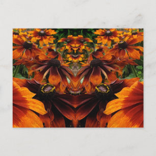 Geist von Rudbeckia Postkarte