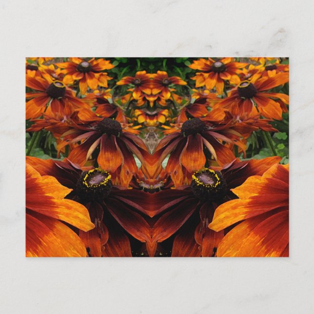 Geist von Rudbeckia Postkarte (Vorderseite)