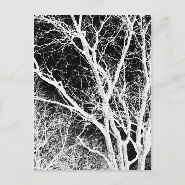 Geisterbaum Postkarte (Vorderseite)
