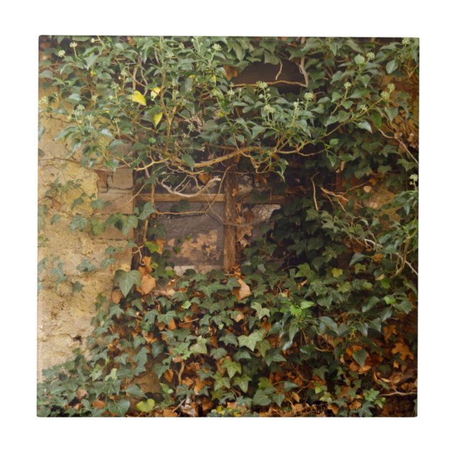 Geisterfenster   fliese (Vorderseite)