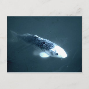 ‚Geisterfisch‘ Postkarte