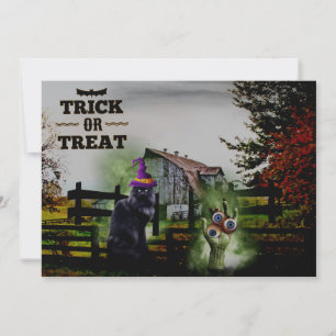 *~* Geisterhandschuhe Augen Schwarze Katze HALLOWE