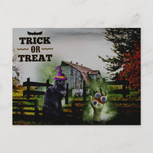 *~* Geisterhandschuhe Augen Schwarze Katze HALLOWE Postkarte