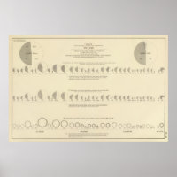 Geisteskranke, Statistische US-Lithographie 1870